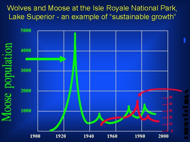 Wolves and Moose at the Isle Royale National Park, Lake Superior - an example