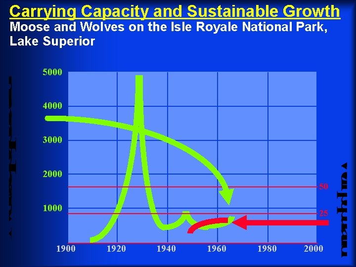 Carrying Capacity and Sustainable Growth Moose and Wolves on the Isle Royale National Park,
