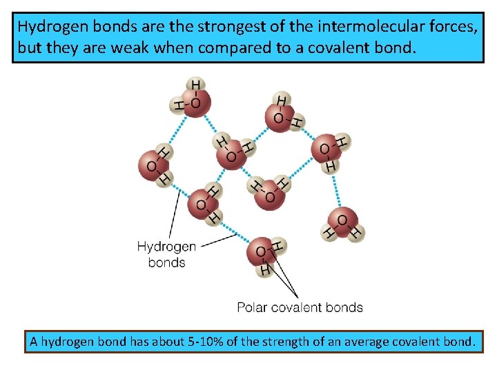 Hydrogen bonds are the strongest of the intermolecular forces, but they are weak when