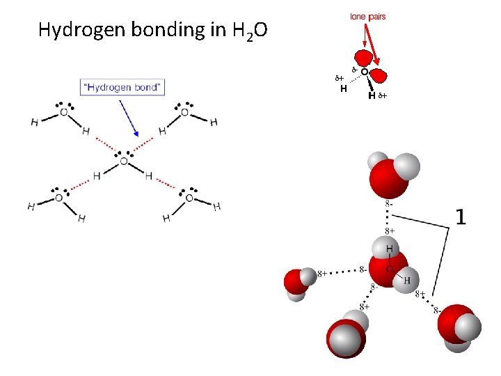 Hydrogen bonding in H 2 O 