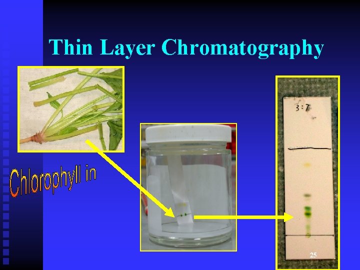 Thin Layer Chromatography 25 