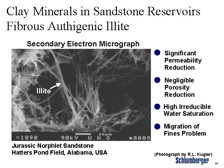 Clay Minerals in Sandstone Reservoirs Fibrous Authigenic Illite Secondary Electron Micrograph Significant Permeability Reduction