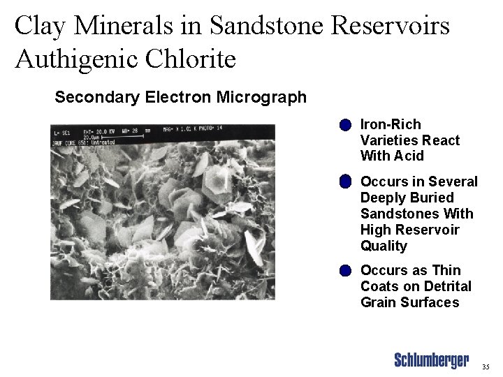 Clay Minerals in Sandstone Reservoirs Authigenic Chlorite Secondary Electron Micrograph Iron-Rich Varieties React With