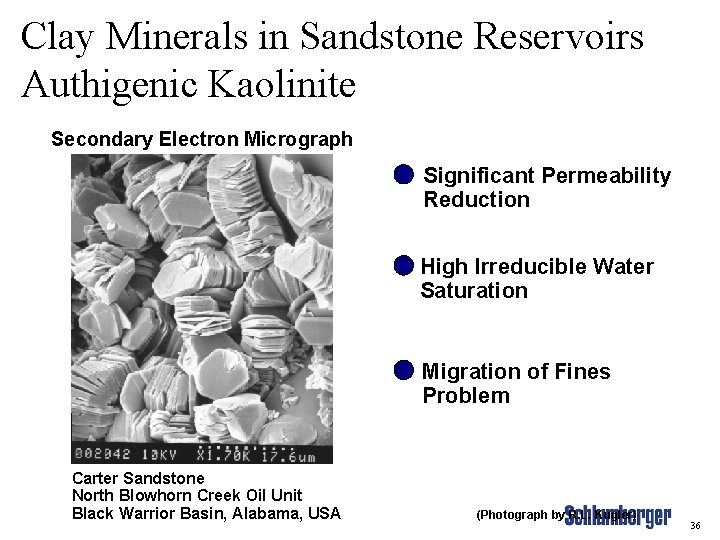 Clay Minerals in Sandstone Reservoirs Authigenic Kaolinite Secondary Electron Micrograph Significant Permeability Reduction High