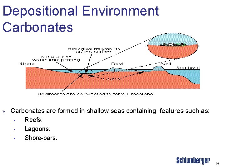 Depositional Environment Carbonates Ø Carbonates are formed in shallow seas containing features such as: