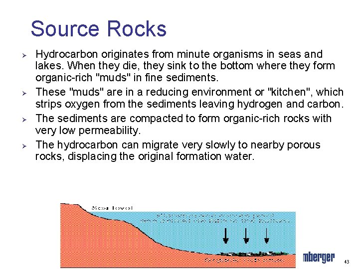 Source Rocks Ø Ø Hydrocarbon originates from minute organisms in seas and lakes. When