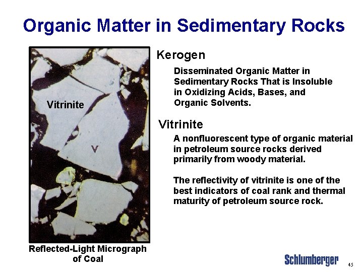 Organic Matter in Sedimentary Rocks Kerogen Vitrinite Disseminated Organic Matter in Sedimentary Rocks That