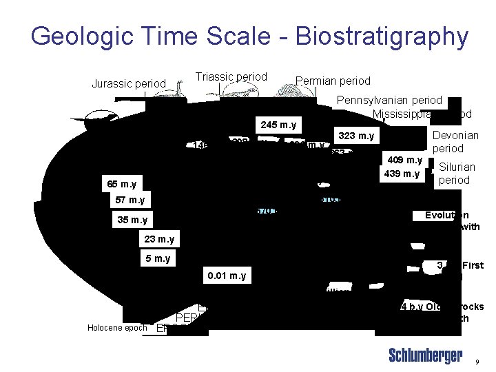 Geologic Time Scale - Biostratigraphy Jurassic period Triassic period Permian period Pennsylvanian period Mississippian