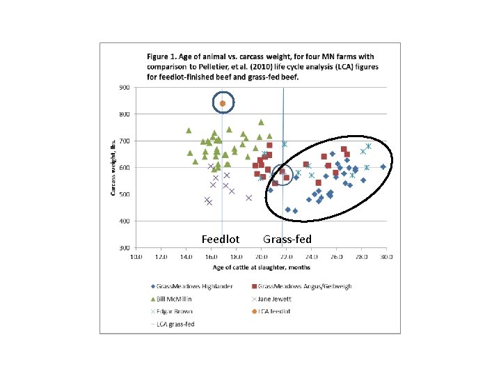 Feedlot Grass-fed 