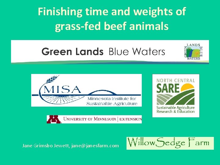 Finishing time and weights of grass-fed beef animals Jane Grimsbo Jewett, jane@janesfarm. com 