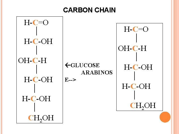 CARBON CHAIN H-C=O H-C-OH OH-C-H H-C-OH CH 2 OH GLUCOSE ARABINOS E--> H-C=O OH-C-H