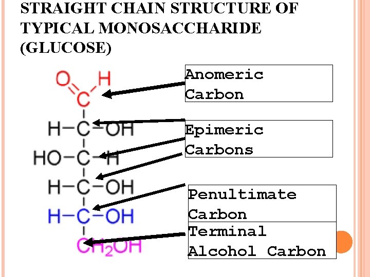 STRAIGHT CHAIN STRUCTURE OF TYPICAL MONOSACCHARIDE (GLUCOSE) Anomeric Carbon Epimeric Carbons Penultimate Carbon Terminal