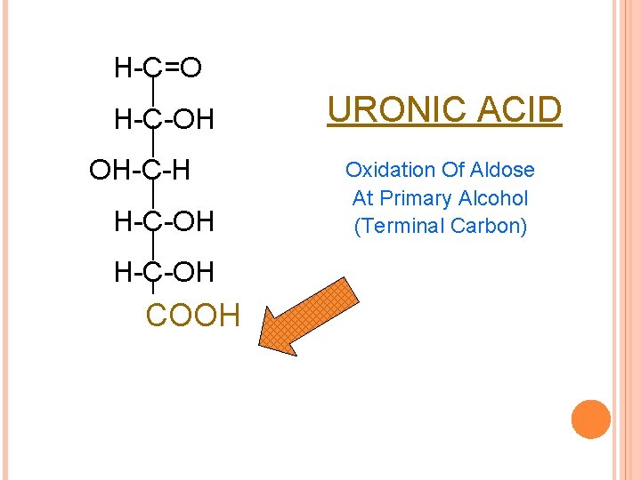 H-C=O H-C-OH OH-C-H H-C-OH COOH CH 2 OH URONIC ACID Oxidation Of Aldose At
