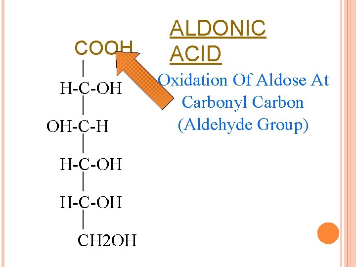 COOH H-C=O H-C-OH OH-C-H H-C-OH CH 2 OH ALDONIC ACID Oxidation Of Aldose At