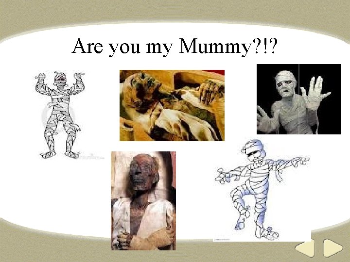Are you my Mummy? !? 