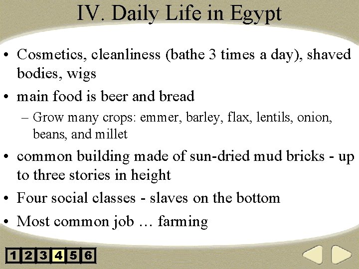 IV. Daily Life in Egypt • Cosmetics, cleanliness (bathe 3 times a day), shaved