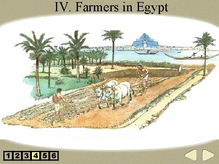 IV. Farmers in Egypt 1 2 3 4 5 6 