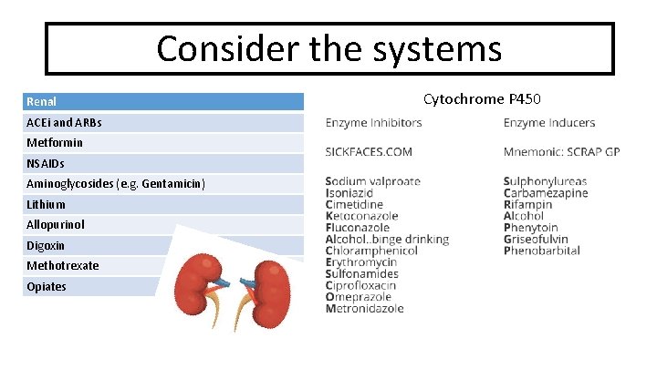 Consider the systems Renal ACEi and ARBs Metformin NSAIDs Aminoglycosides (e. g. Gentamicin) Lithium