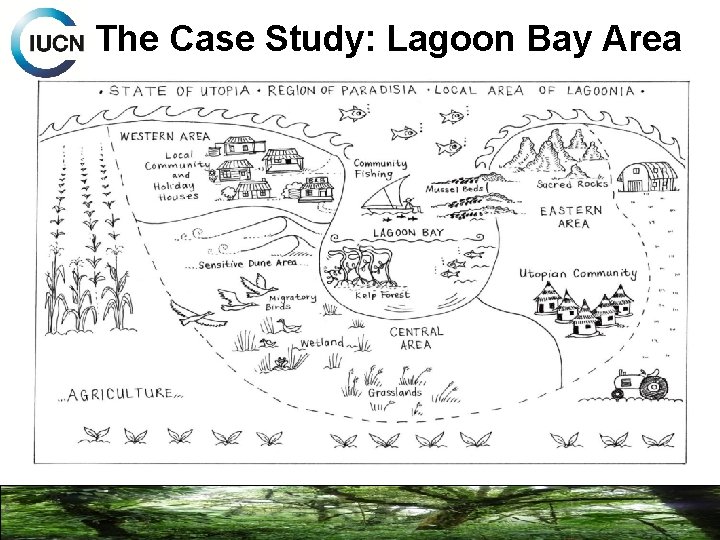 The Case Study: Lagoon Bay Area 
