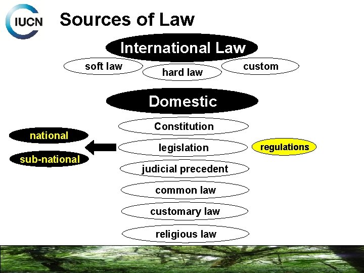 Sources of Law International Law soft law hard law custom Domestic national Constitution legislation