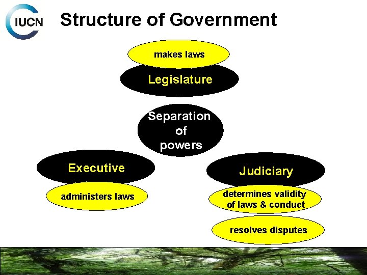 Structure of Government makes laws Legislature Separation Government of powers Executive Judiciary administers laws
