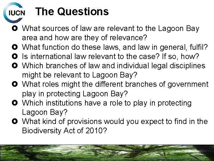 The Questions What sources of law are relevant to the Lagoon Bay area and