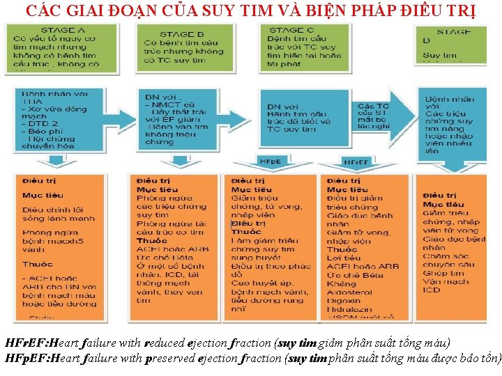 CÁC GIAI ĐOẠN CỦA SUY TIM VÀ BIỆN PHÁP ĐIỀU TRỊ HFr. EF: Heart