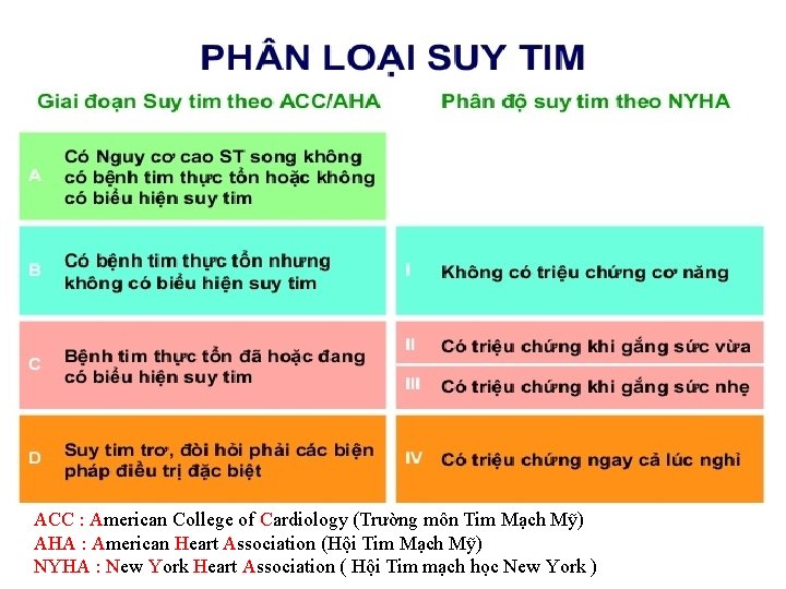 ACC : American College of Cardiology (Trường môn Tim Mạch Mỹ) AHA : American