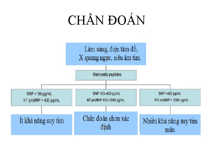 CHẨN ĐOÁN 