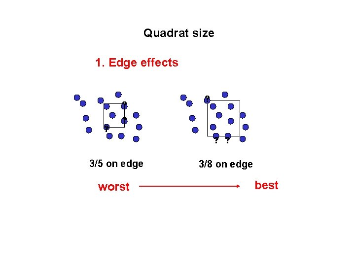 Quadrat size 1. Edge effects ? ? ? ? ? ? 3/5 on edge