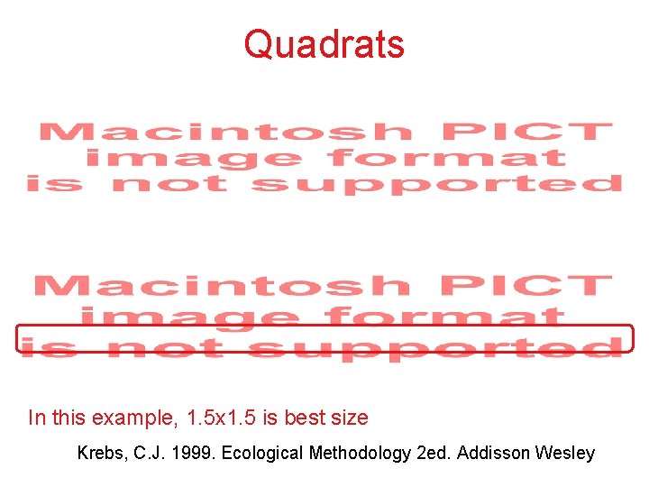 Quadrats In this example, 1. 5 x 1. 5 is best size Krebs, C.