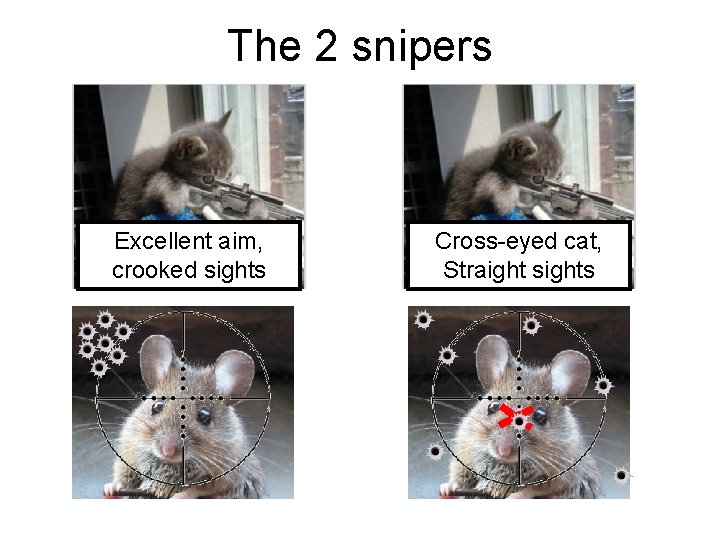 The 2 snipers Excellent aim, crooked sights Cross-eyed cat, Straight sights 