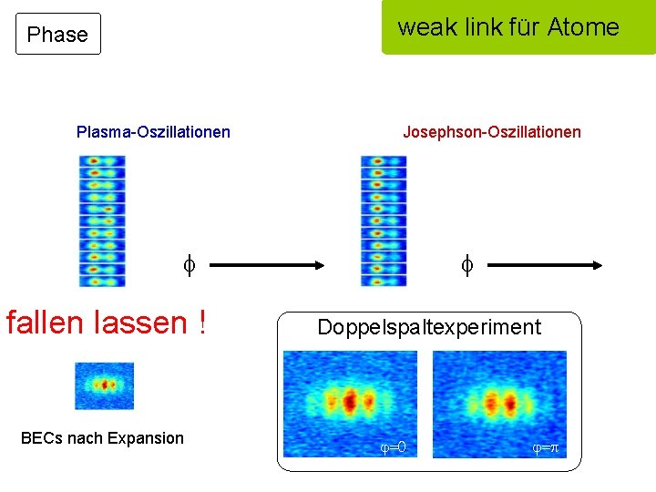 weak link für Atome Phase Plasma-Oszillationen Josephson-Oszillationen f fallen lassen ! BECs nach Expansion