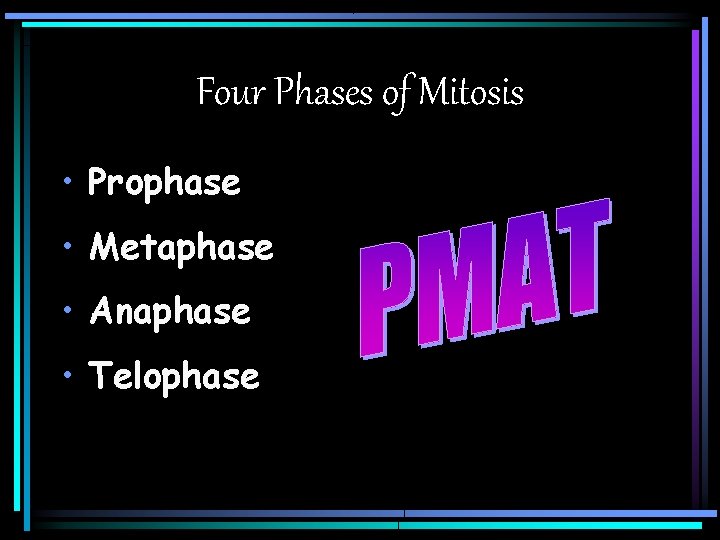 Four Phases of Mitosis • Prophase • Metaphase • Anaphase • Telophase 