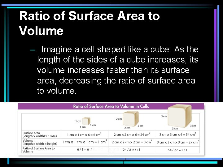 Ratio of Surface Area to Volume – Imagine a cell shaped like a cube.