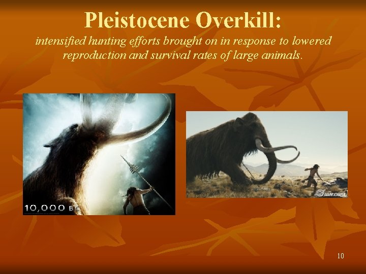 Pleistocene Overkill: intensified hunting efforts brought on in response to lowered reproduction and survival