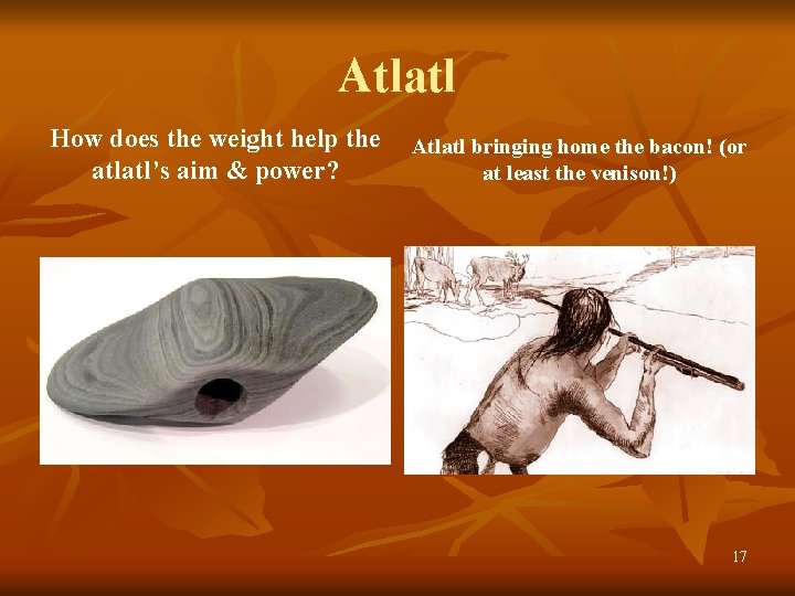 Atlatl How does the weight help the atlatl’s aim & power? Atlatl bringing home