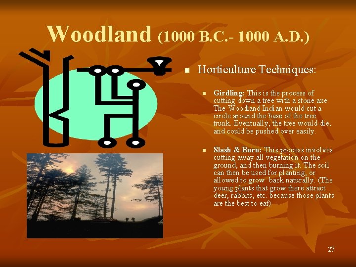 Woodland (1000 B. C. - 1000 A. D. ) n Horticulture Techniques: n n