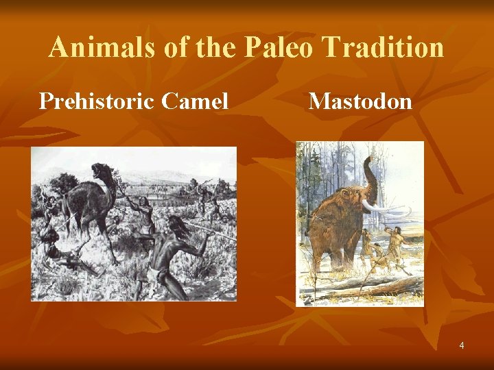 Animals of the Paleo Tradition Prehistoric Camel Mastodon 4 