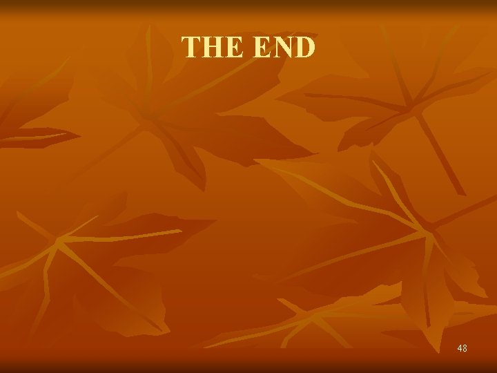 THE END 48 