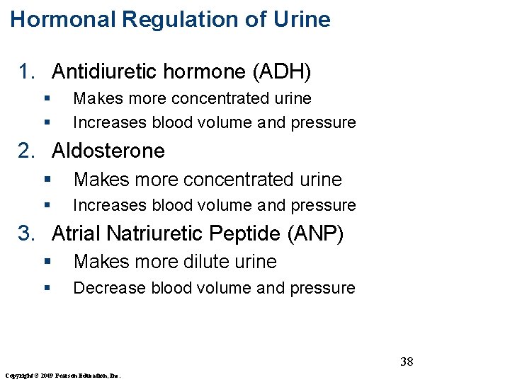 Hormonal Regulation of Urine 1. Antidiuretic hormone (ADH) § § Makes more concentrated urine