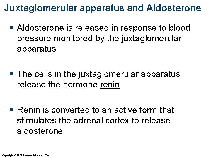 Juxtaglomerular apparatus and Aldosterone § Aldosterone is released in response to blood pressure monitored