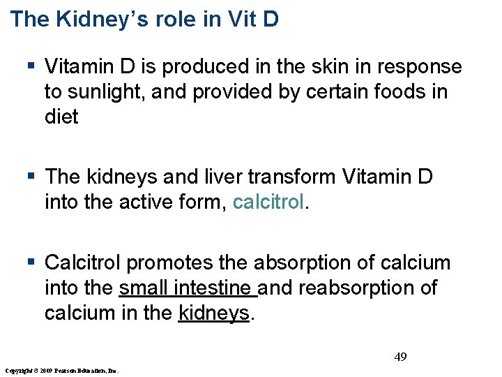 The Kidney’s role in Vit D § Vitamin D is produced in the skin