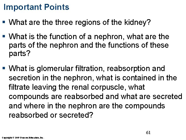 Important Points § What are three regions of the kidney? § What is the