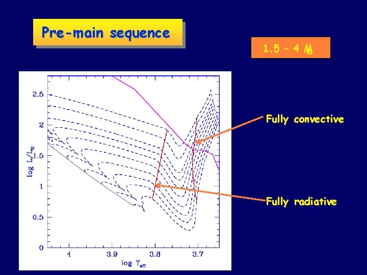 Pre-main sequence 1. 5 – 4 M Fully convective Fully radiative 