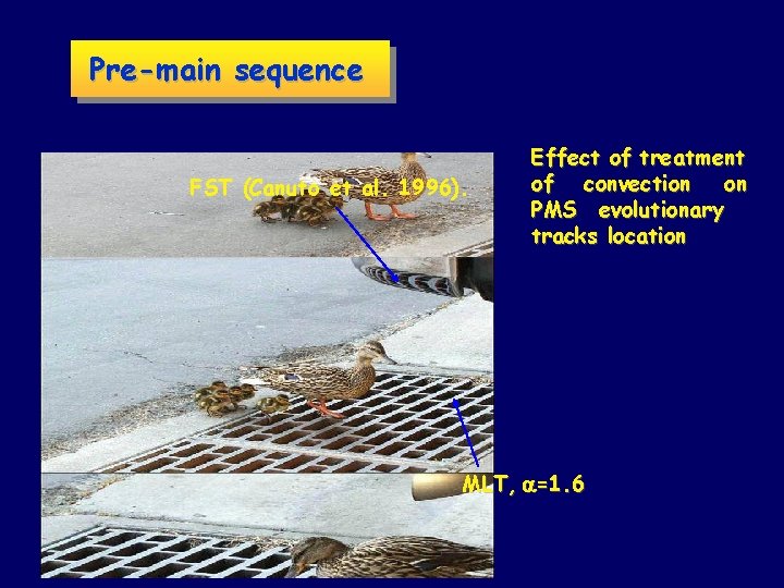 Pre-main sequence FST (Canuto et al. 1996). Effect of treatment of convection on PMS