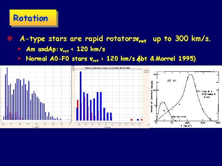 Rotation v A-type stars are rapid rotators: vrot up to 300 km/s. § Am