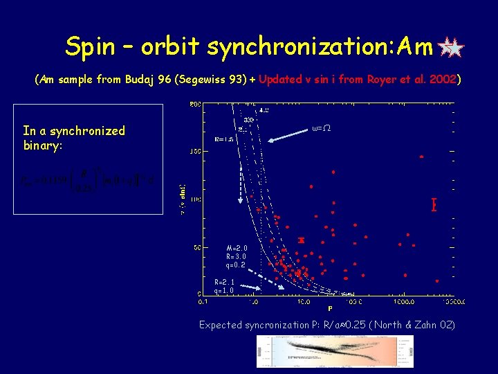 Spin – orbit synchronization: Am (Am sample from Budaj 96 (Segewiss 93) + Updated