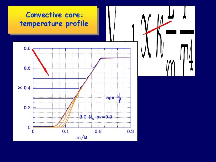 Convective core: temperature profile 