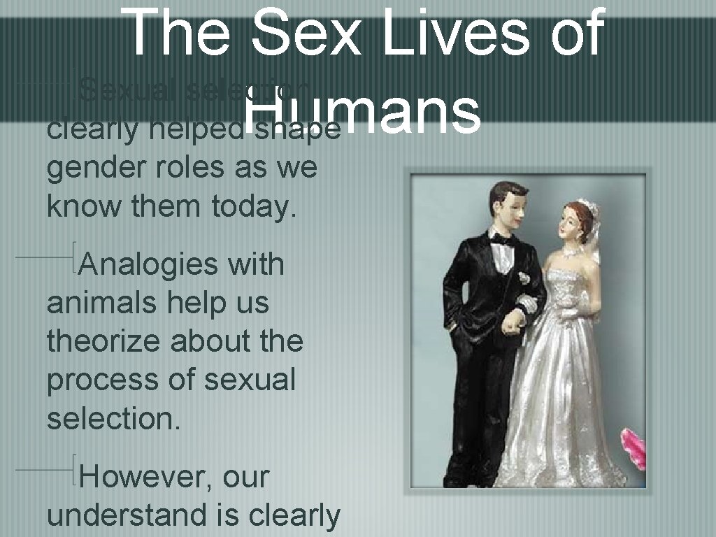 The Sex Lives of Sexual selection clearly helped. Humans shape gender roles as we